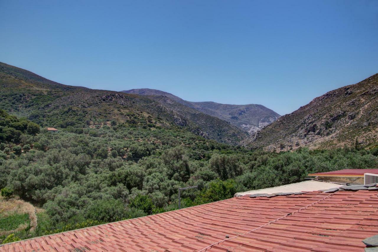 Traditional Cretan Country House Plokamiana Экстерьер фото